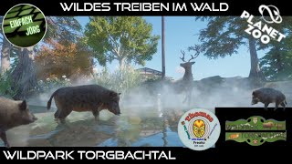 Wildpark Torgbachtal 17  Wildes Treiben im Wald  Planet Zoo  deutsch  einfachJörg [upl. by Atnwahs]