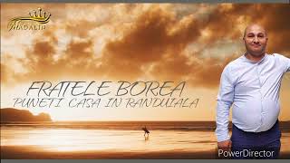 Fratele Borea  PINETI CASA IN RANDUIALA  cover 2022 [upl. by Uzzi]