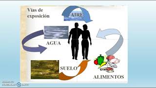 Toxicología Ambiental [upl. by Rosemary779]