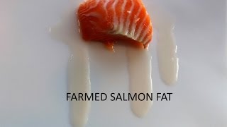 PUTTING THE SQUEEZE ON FARMED SALMON [upl. by Eux]