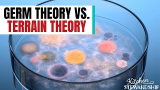 Terrain Theory Versus Germ Theory  Understanding Your Immune System [upl. by Elbertina335]