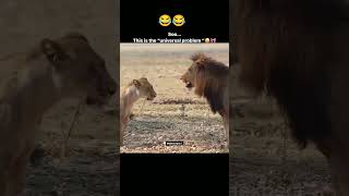 Universal problem 😂🤣😜😎 shortsyoutube shorts video tranding fun funnyshorts [upl. by Rehpotsihrc]