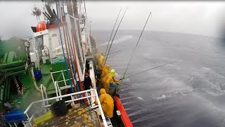 Pesca de bonito en el Cantabrico a bordo del San Roque Divino [upl. by Sonahpets]