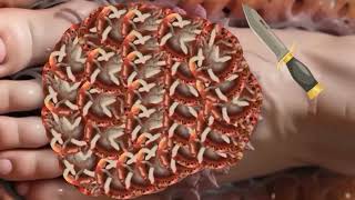 Maggots Removal ASMR  ASMR Remove infected Foot  Dog Ticks Removal  TalesOfTingles [upl. by Conte]