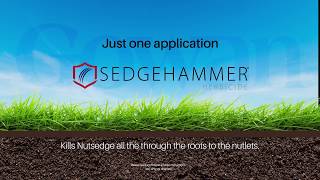 Introduction to SedgeHammer and SedgeHammer  2018 [upl. by Ahsytal]