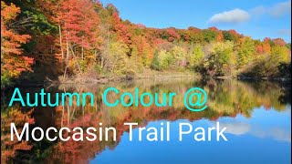 Autumn Colour  Moccasin Trail Park [upl. by Haeel]