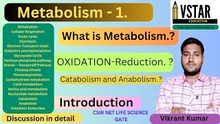 Metabolism  Overview of Metabolism  ATP  Oxidation Reduction  Catabolism  Anabolism Metabolism [upl. by Norvun]