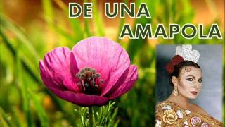 La historia de una amapola Rocío Jurado [upl. by Fairfield]