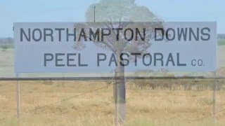 SOLD  Northampton Downs Blackall Queensland [upl. by Rramaj443]