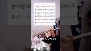 Flute player covers the iconic Game of Thrones theme song sheet music tutorial [upl. by Lehcear]