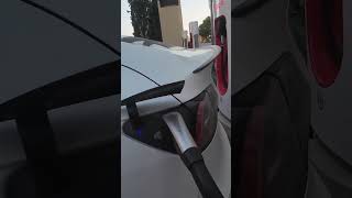 Tesla Update 2024 26 3 1 undocumented changes… Supercharger Talk 22 Part 1 tesla modely shorts [upl. by Windzer295]