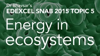 Energy in ecosystems topic 5 for Edexcel SNAB A level biology [upl. by Harrus]