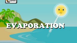 Evaporation  Elementary Science [upl. by Krantz]