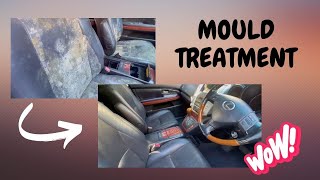 🌟 Mould Treatment Before amp After Witness the Transformation 🚗✨ [upl. by Elay]