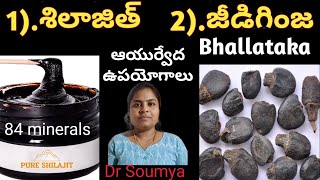 Shilajit uses amp Benefits in Ayurveda How to use  శిలాజిత్ అంటే ఏంటి Bhallataka UsesDr Soumya [upl. by Aleicarg]