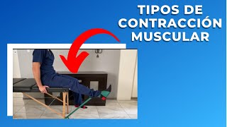 Tipos de Contracción Muscular Isotónica Isométrica Isocinética [upl. by Egidius]