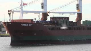 Tasman Sky IMO 9014872 Cargo Ship enters the port of Newcastle Australia  Shipspotting [upl. by Eldnek]