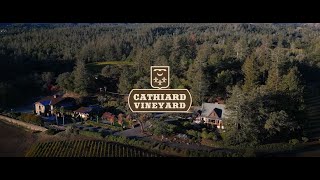 Overview of Cathiard Vineyard in the Mayacamas Mountains of Napa Valley [upl. by Yazbak]