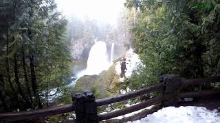 Virtual Hike Snow Forest River  Koosah Falls to Sahalie Falls [upl. by Knowland]