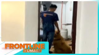 Asong naglambing sa naglilinis ng aircon kinaaliwan ng netizens  Frontline Sa Umaga [upl. by Ojyma]