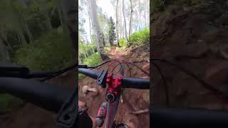 spinaltap richfield utah aribikes fezzari insta360 mtb bicycle utahmtb mountainbike bike [upl. by Casi322]