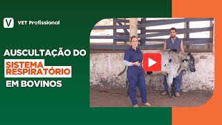 Semiologia veterinária Auscultação do Sistema Respiratório [upl. by Atem]