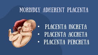 MORBIDLY ATTACHED PLACENTAPLACENTA INRCETAPLACENTA PERCRETAACCRETA [upl. by Willin]