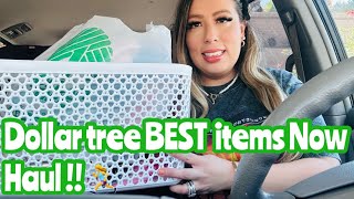 Dollar tree BEST items Now Haul [upl. by Lednyk423]