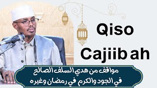 Qiso Cajiib  Qof kaa Deeqsisan Ma aragtay Waligaa  Sh Xassaan Abu Salmaan [upl. by Ahtanamas]