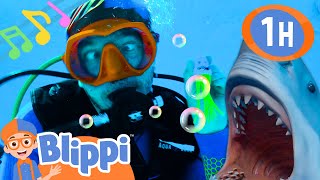 Blippis Underwater Theme Song  1 Hour of BLIPPI Music  Educational Songs For Kids [upl. by Morten]