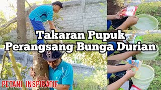 Takaran Pupuk Perangsang Bunga Durian [upl. by Deerc]