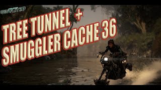 Tree Tunnel amp Smuggler Cache 36 Treasure Location Akiva [upl. by Dumas]