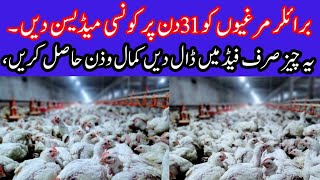 Broiler chicken farming in Pakistan32 day madecin for Best growth [upl. by Comras]