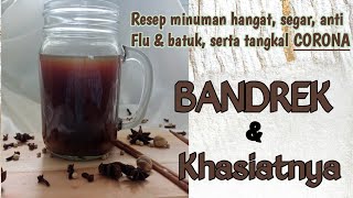 CARA MUDAH MEMBUAT BANDREK  MANFAAT MINUMAN BANDREK  RESEP BANDREK YANG ENAK DAN SEGAR [upl. by Murphy]