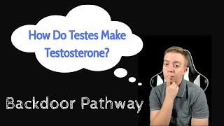 Testosterone Synthesis Backdoor Pathway [upl. by Slrahc960]