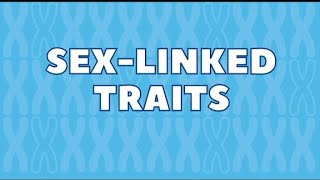 sexlinked traitsgenetic sexlinked disease genetics exam neet2025biology pg study biology [upl. by Aracahs]