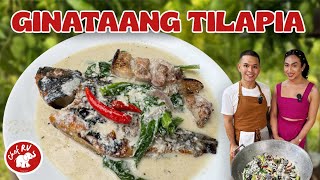 GINATAANG TILAPIA WITH ERIN  Chef RV [upl. by Lionello]