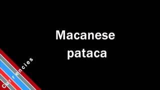 How to Pronounce Macanese pataca [upl. by Ninahs831]