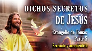 Dichos Secretos de Jesús  Serénate y arrepiéntete [upl. by Liagabba]