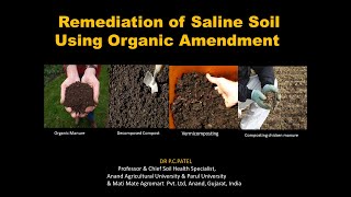 Remediation of Saline Soil Using Organic Amendment  Dr P C Patel [upl. by Ibrahim]