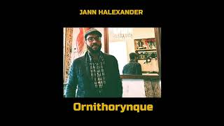 Jann Halexander – Altérités album Ornithorynque 2024 [upl. by Eiclek46]