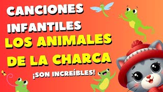 El gato Kukurín  Aprende los animales de la charca  Canciones infantiles babyshark plimplim cat [upl. by Haile]