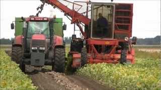 Sugarbeet Harvest 2012  WKM Harvester Stadskanaal [upl. by Ranger402]