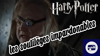 Doublage Harry Potter scène Les Sortilèges Impardonnables [upl. by Leahcimaj9]