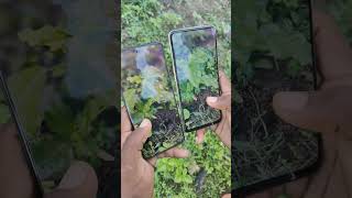 oppo f27 pro plus vs oppo f21s pro camera testing smartphone tech oppo [upl. by Ofori396]