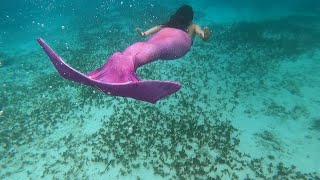 Sereias mergulham em Tulum usando cauda Sirenita Brasil [upl. by Partan]