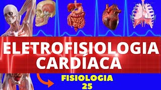 ELETROFISIOLOGIA CARDÍACA  POTENCIAIS DE AÇÃO DO CORAÇÃO  FISIOLOGIA CARDIOVASCULAR [upl. by Dyal]