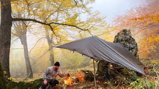 Solo bushcraft camp challenging survival in a dark wild misty autumn forest building a shelter [upl. by Ettennyl535]