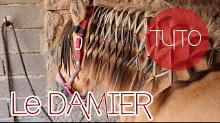 LE DAMIER  coiffure pour son cheval  TUTO [upl. by Francesco]