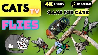 CATS TV  Realistic Fly Flies Compilation🐞 Game For Cats to Watch NO ADS 🐞🐞 4K HDR 60FPS [upl. by Elmore388]